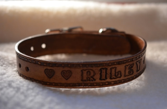Brown Leather Dog Collar with Stamped Edge Design and Dogs Name - Riley