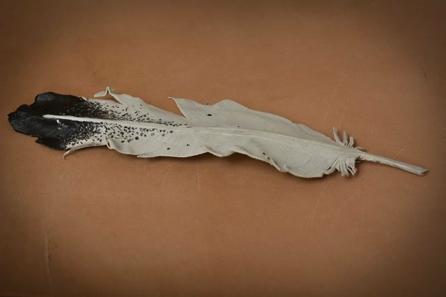 Hand Carved Leather Eagle Feather