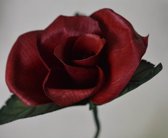 Single Red Leather Rose