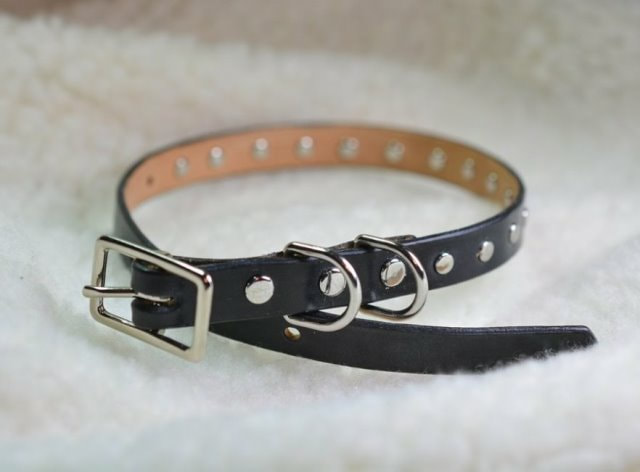 Small Black Leather Dog Collar with Rivet Decoration