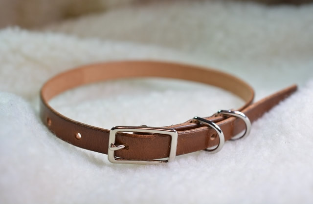 Small Brown Leather Dog Collar