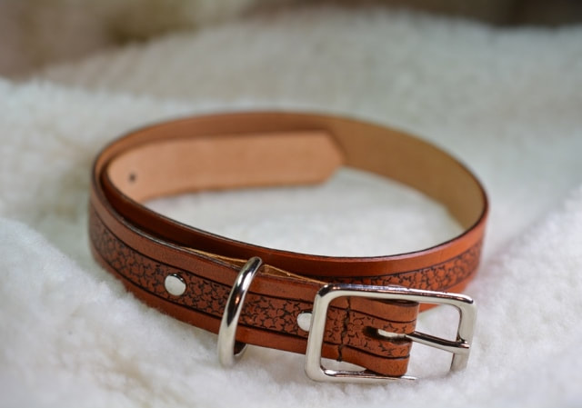 Small Tan Leather Dog Collar with Stamped Center Design